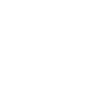 Scale Icon